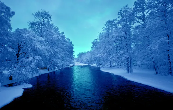 Небо, снег, деревья, река, Зима