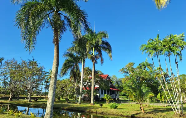 Surinam wallpapers, Beautiful wallpapers nature, Frederiksdorp Suriname resort, Tropical resort wallpaper