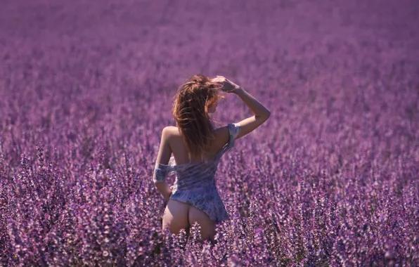 Попа, девушка, солнце, цветы, природа, поза, модель, тело