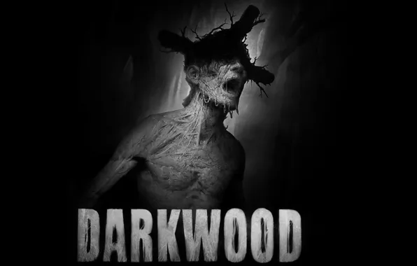 Игра, Арт, Обложка, Darkwood