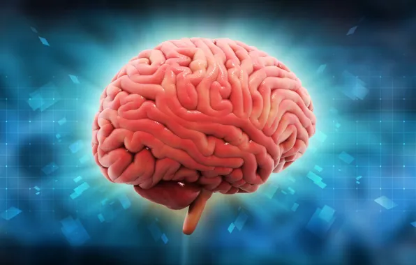 Картинка brain, mind, intelligence