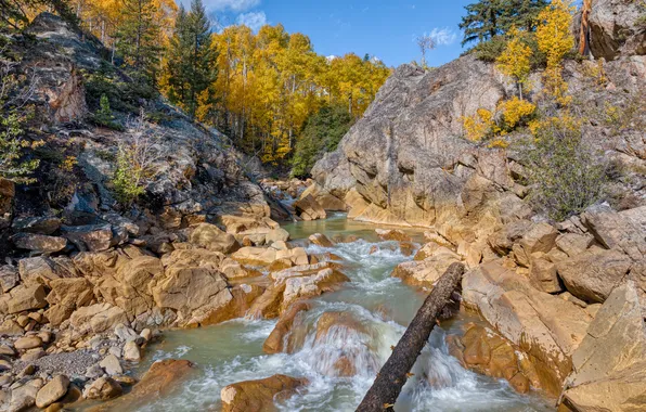 Картинка осень, лес, ручей, камни