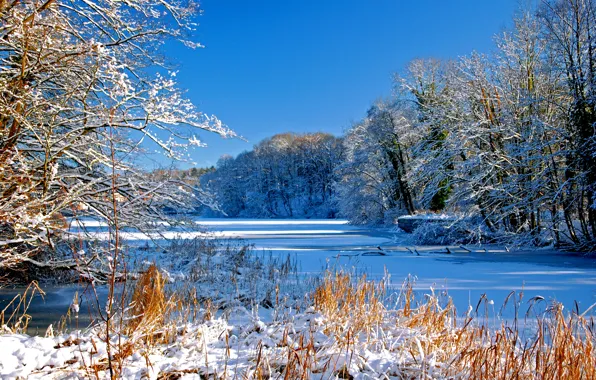 Картинка зима, небо, снег, деревья, река, русло