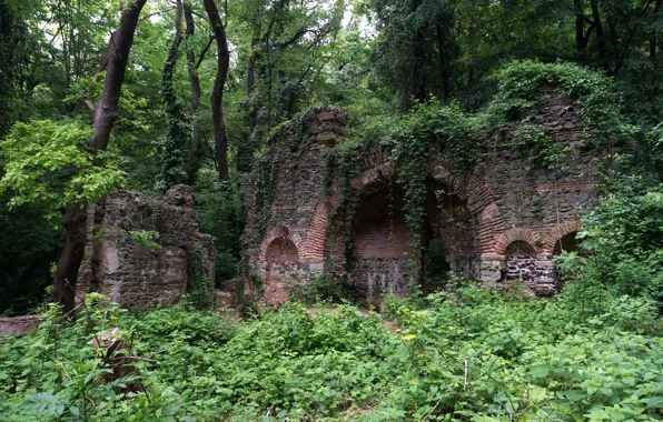 Картинка деревья, руины, архитектура, Стамбул, Турция, Istanbul, ruins, Turkey