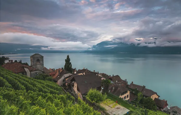 Озеро, Швейцария, Lake Geneva, Vaud, Saint-Saphorin