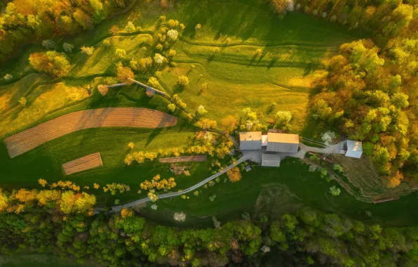 Поле, дом, Slovenia