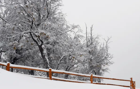 Картинка снег, природа, дерево, забор