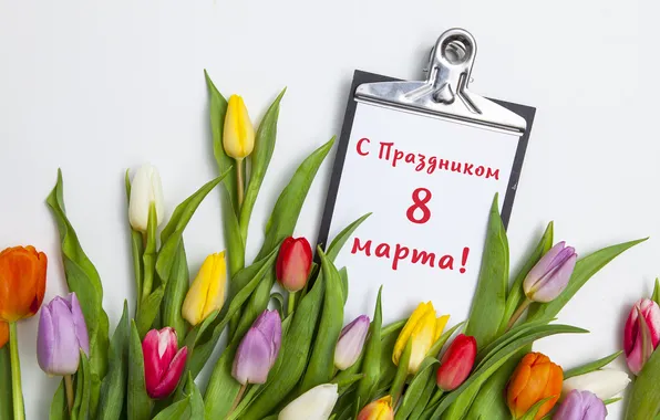 Цветы, букет, colorful, тюльпаны, 8 марта, pink, flowers, tulips