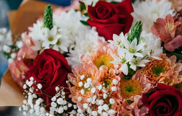 Картинка цветы, букет, растения, flowers, bouquet, plants