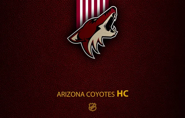 Wallpaper, sport, logo, NHL, hockey, Arizona Coyotes