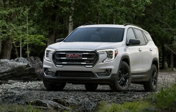 White, forest, trees, nature, gmc, terrain, 2022, at4