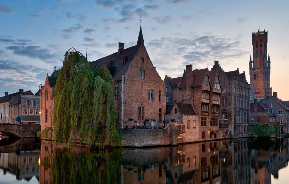 Картинка город, отражение, дерево, здания, дома, вечер, канал, Бельгия