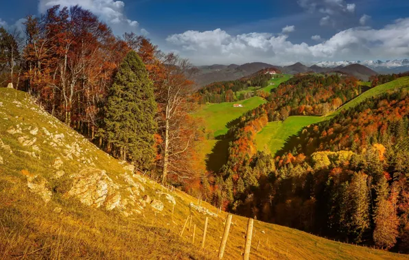 Осень, пейзаж, горы, природа, холмы, леса, луга