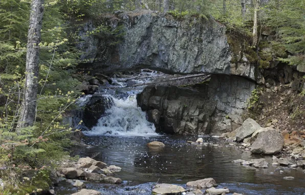 Картинка Canada, Fall, Quebec, cascade