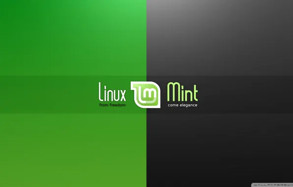 Linux, Linux, линукс, Линукс, gnu, операционная система, mint, Операционная система