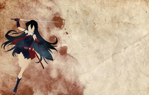 Минимализм, Akame, Akame ga kill, убийца Акаме, night raid