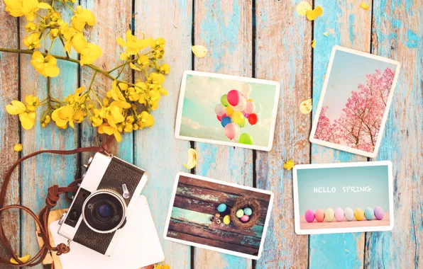 Цветы, фото, яйца, весна, камера, colorful, Пасха, wood