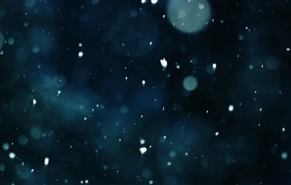 Снег, красота, вечер, падение снега