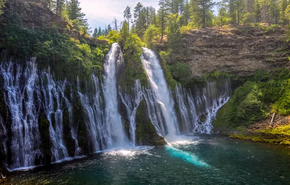 Лес, свет, скалы, берег, водопад, поток, водопады, каскад