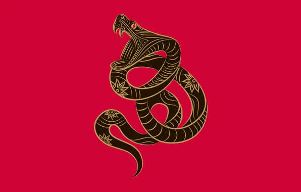 Картинка змея, зодиак, Zune