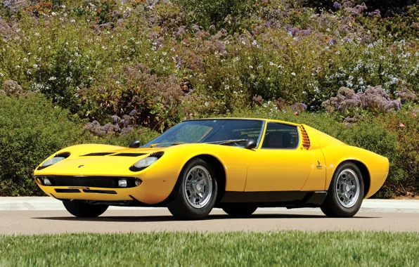 Авто, Lamborghini, 1969, желтое, классика, легенда, Miura P400 S