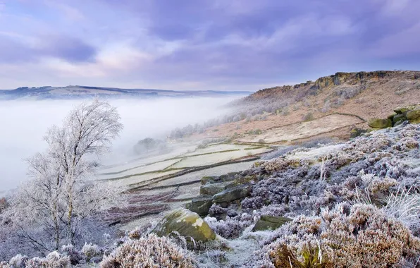 Картинка зима, иней, туман, холмы, Англия, склон, Дербишир