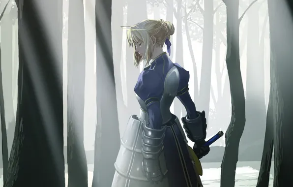 Saber, Fate stay night, Сэйбер, Судьба ночь схватки