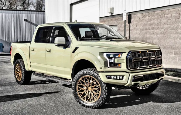 Картинка Ford, Raptor, F-150, Custom, Tuning Car, Ford F-150 Raptor