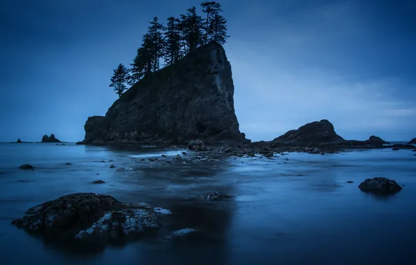 Деревья, ночь, скалы, берег, Washington, Olympic National Park