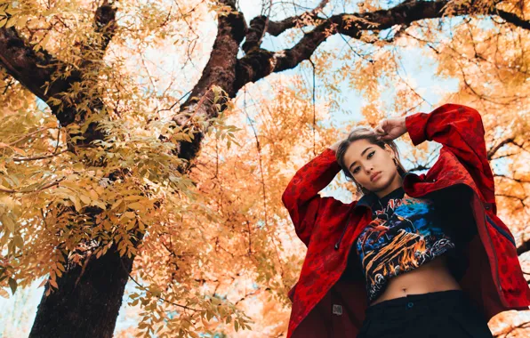 Осень, листья, девушка, стиль, дерево, куртка, азиатка, asian girl