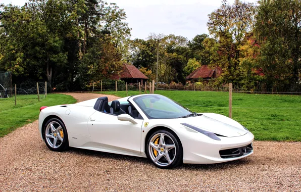 Белая, Ferrari, 458, лужайка, Spider