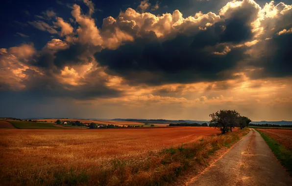 Дорога, поле, небо, облака, дерево, Германия, Germany, Саар