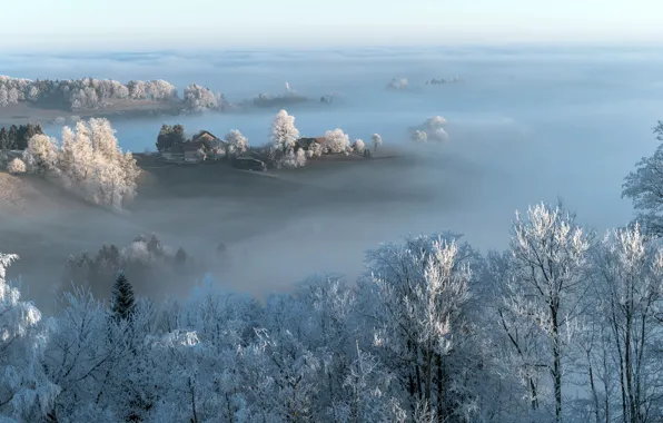 Картинка зима, природа, туман, утро