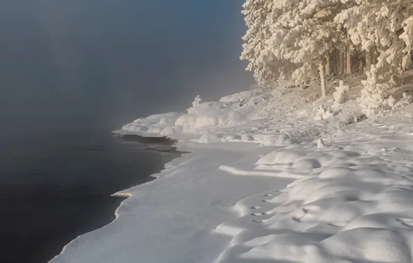 Картинка зима, иней, снег, деревья, пейзаж, природа, туман, река