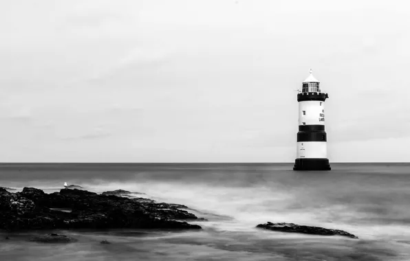 Sea, rocks, lighthouse, seagull, long exposure