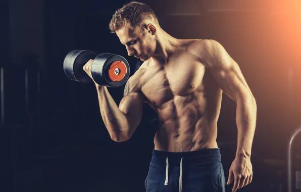 Muscle, мышцы, бодибилдинг, пресс, гантели, бодибилдер, abs, dumbbells