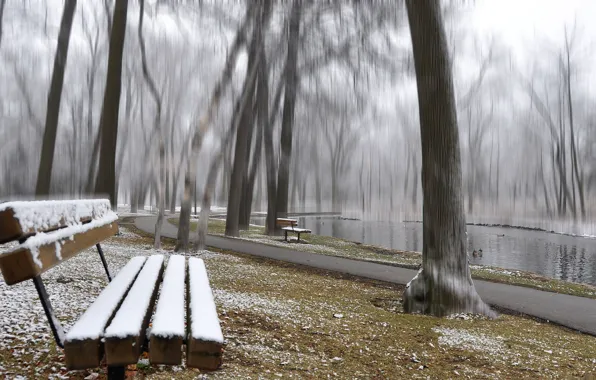 Картинка осень, снег, деревья, пруд, парк, дорожка, скамья