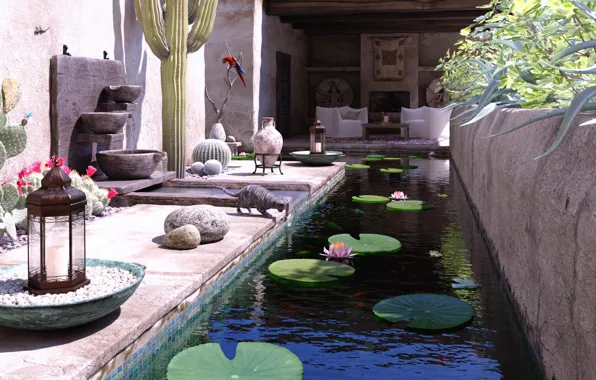 Кошка, попугай, водоём, Villa, bassin