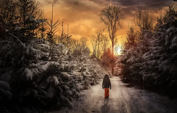 Картинка зима, лес, закат, человек, прогулка