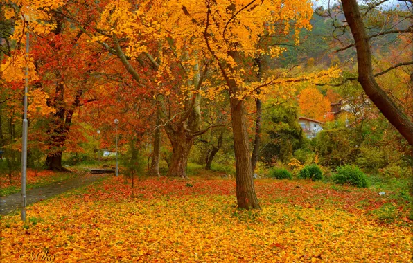 Осень, Парк, Fall, Листва, Park, Autumn, Colors, Листопад