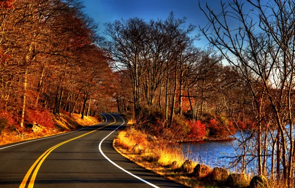 Картинка дорога, осень, лес, листья, вода, деревья, природа, река