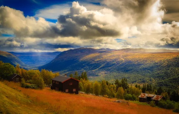 Картинка лес, небо, облака, горы, дом, Норвегия, национальный парк, Hardangervidda