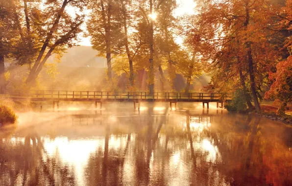 Картинка осень, листья, вода, солнце, свет, деревья, мост, природа