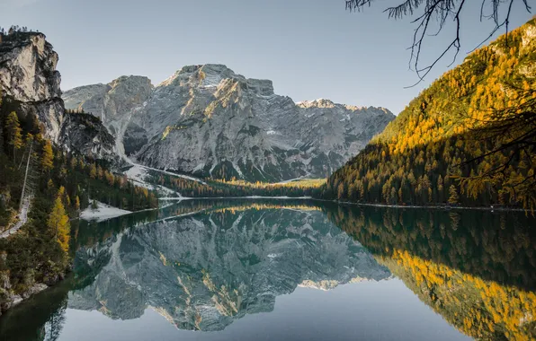 Лес, пейзаж, горы, природа, река