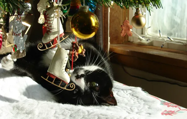 Картинка зима, кот, игрушки, новый год, ель, окно, ёлка