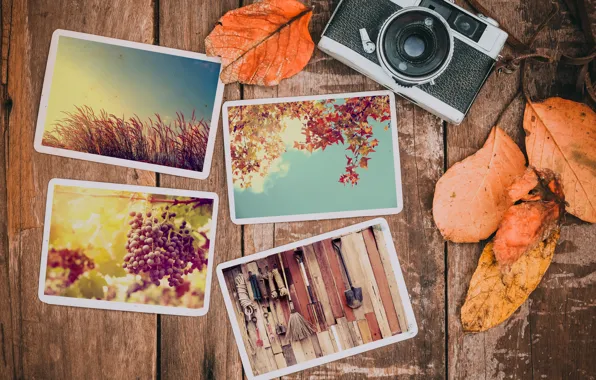 Картинка осень, листья, фото, фон, камера, colorful, happy, wood