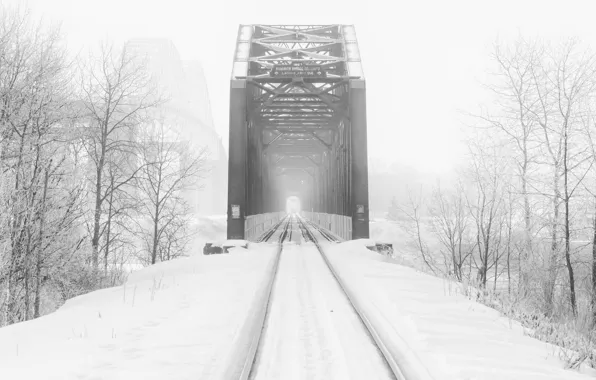 Картинка зима, дорога, мост, туман