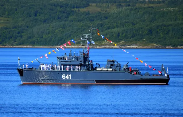 Парад, базовый, тральщик, проект 1265, ядрин