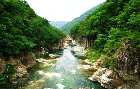 Деревья, пейзаж, горы, река, скалы, Япония, Japan, Rivers
