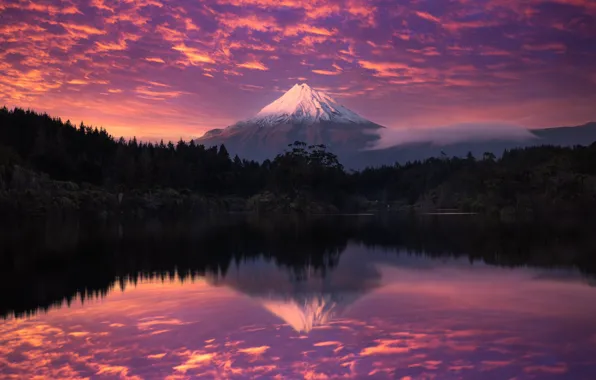 Картинка forest, sky, trees, nature, clouds, lake, purple, reflection